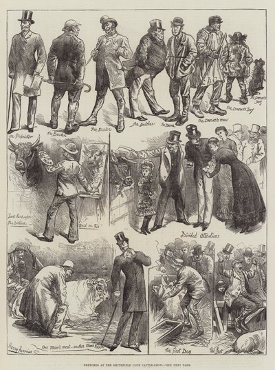 Sketches at the Smithfield Club Cattle-Show by Harry Furniss